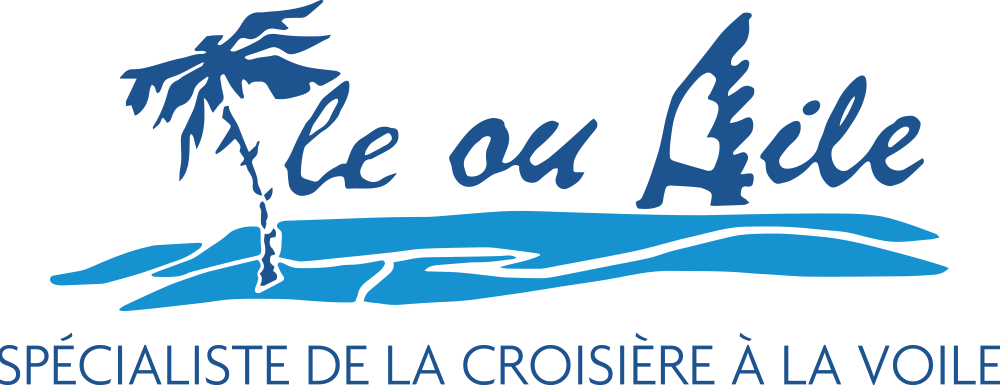 Logo Île ou aile catamaran