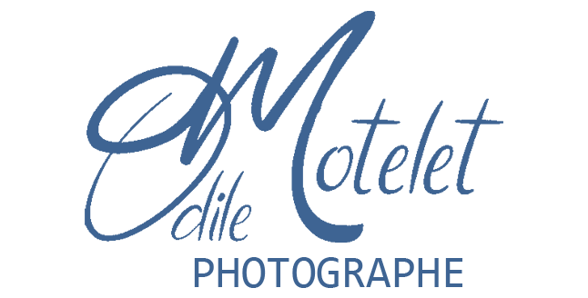 Logo Odile motelet photographe